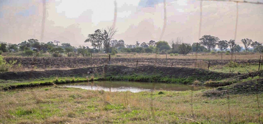 6 Bedroom Property for Sale in Koppies Rural Free State